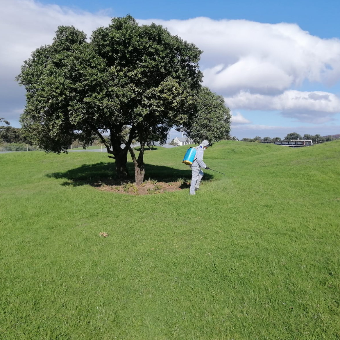 erosion control blanket