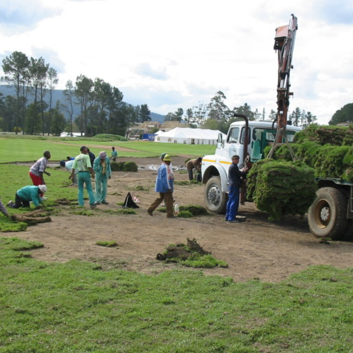 fertilising treatment