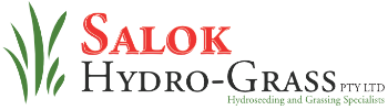 Salok logo